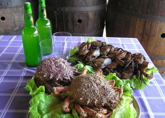 Szálloda Entrevines 2*